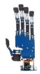 Getting Started Introduction The AR10 Robot Hand features 10 degrees of freedom (DOF) that are