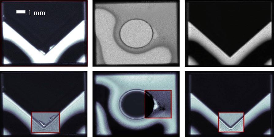 Figure 5: Image analysis applied to acoustic micrographs. Top: pure intensity images obtained by an acoustic microscope. Bottom: processed acoustic images.