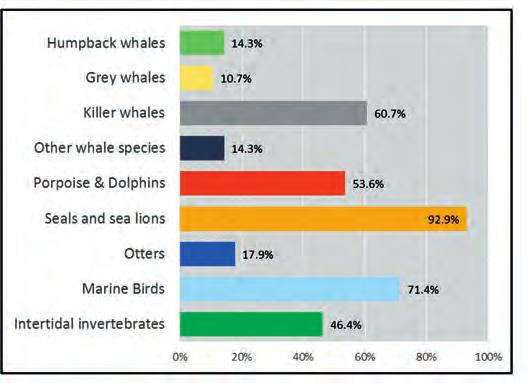 Whale Watching Figure 4.2: 2013 survey results from 28 Salish Sea kayaking companies that ranked wildlife species according to their importance to company marketing and their clients. PHOTO: B.
