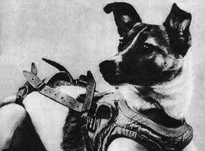 LAIKA A stray dog launched into orbit on November 3 1957 No mechanism for re-entry and so no expectation of