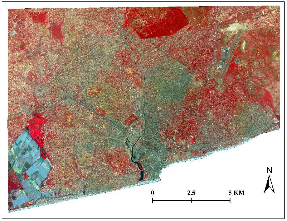 6 Fig. 1: Study area. April 14 2002 QuickBird multispectral image displayed in false color visual near infrared format. b. Data Table 1 contains information about the data to be used in the study.