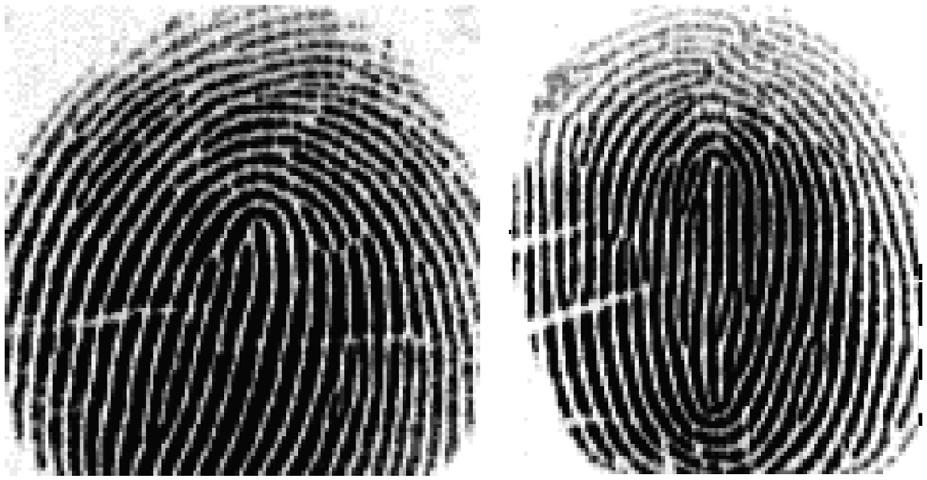 F. Zhao, X. Tang / Pattern Recognition 40 (2007) 1270 1281 1271 Fig. 1. Fingerprint images acquired using an optical fingerprint sensor (black areas: ridges; white areas: valleys).