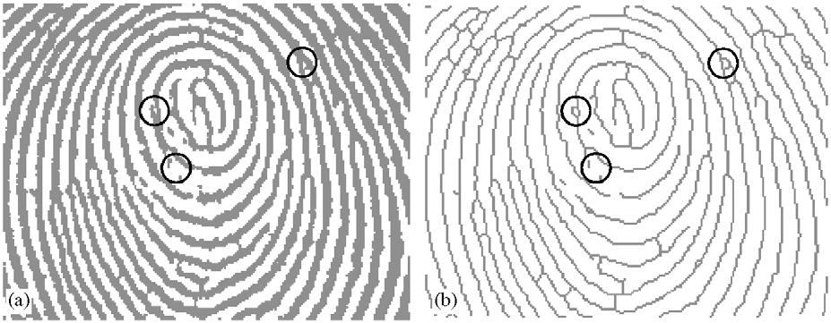 1272 F. Zhao, X. Tang / Pattern Recognition 40 (2007) 1270 1281 Fig. 2.
