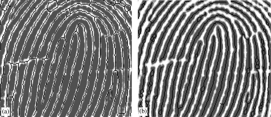 F. Zhao, X. Tang / Pattern Recognition 40 (2007) 1270 1281 1277 Fig. 13. (a) Valley skeleton; (b) ridge skeleton (the skeleton is overlaid on the original gray scale fingerprint image).