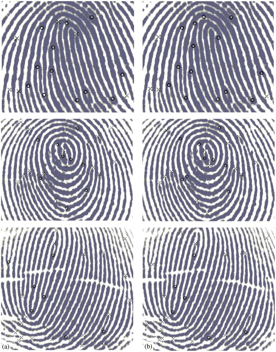 1278 F. Zhao, X. Tang / Pattern Recognition 40 (2007) 1270 1281 Table 6 GI values for a dataset of 10 fingerprint images Fingerprint P D I T GI 01 11 1 1 12 0.75 02 18 4 1 19 0.68 03 21 3 3 28 0.