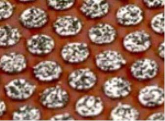 Its ability to polish the most difficult materials quickly makes Flexible Diamond Products a necessity for grinding and polishing ceramic, glass, stone, carbide, composites, exotic alloys and other