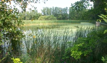 Another Change in Ownership. In 1990, the 50.98-acre Paulding Ponds Wildlife Area was offered and approved for sale to the Paulding County Commissioners by the ODNR.