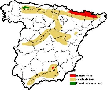 Gipeto The distribution is too concentrated in the Pyrenees of Aragon Current distribution: Aragón (85 pairs) Cataluña (42 pairs)