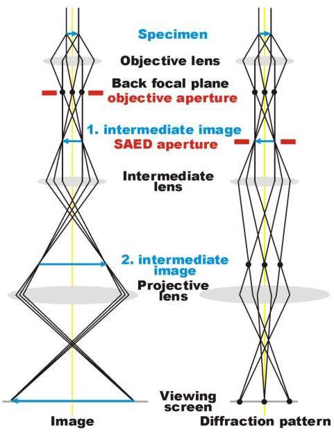 Imaging vs Diffraction An objective lens is used to form a diffraction pattern in the back focal plane with electrons scattered by the sample and combine them to generate an image in the image plane