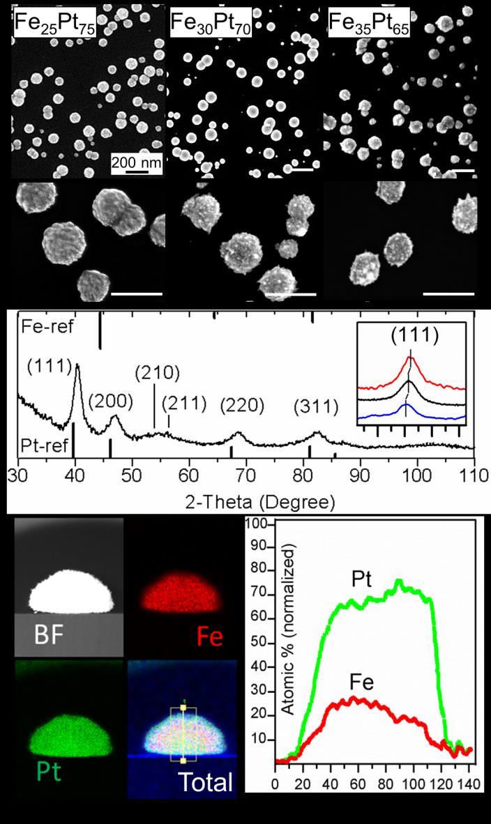 FePt Alloy Nanoparticles for Biosensing: Enhancement of
