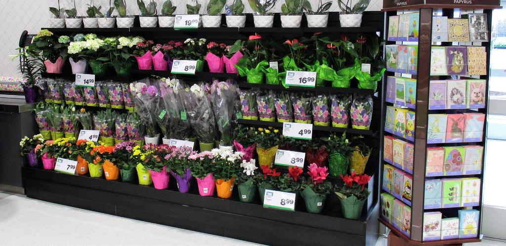 DEPARTMENT: FLORAL The floral department is a beautiful opportunity to I have worked with various enhance the fresh, vital impression of your overall fixture and millwork store.