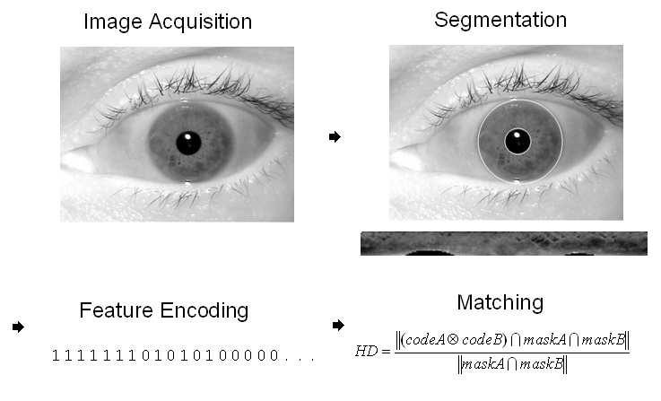 Fig. 2. Major Steps In Iris Biometrics Processing. 3.