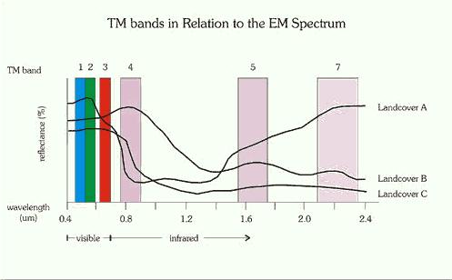 Multispectral Remote Sensing Spectral Bands of Landsat Thematic