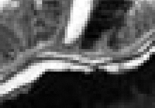 Landsat ETM 4, near infrared Landsat ETM 4, near infrared Digital image, pixels Resolution 11 21 34 34 32 97 78 66 68 54 spatial resolution 77 113 120 132 31 255