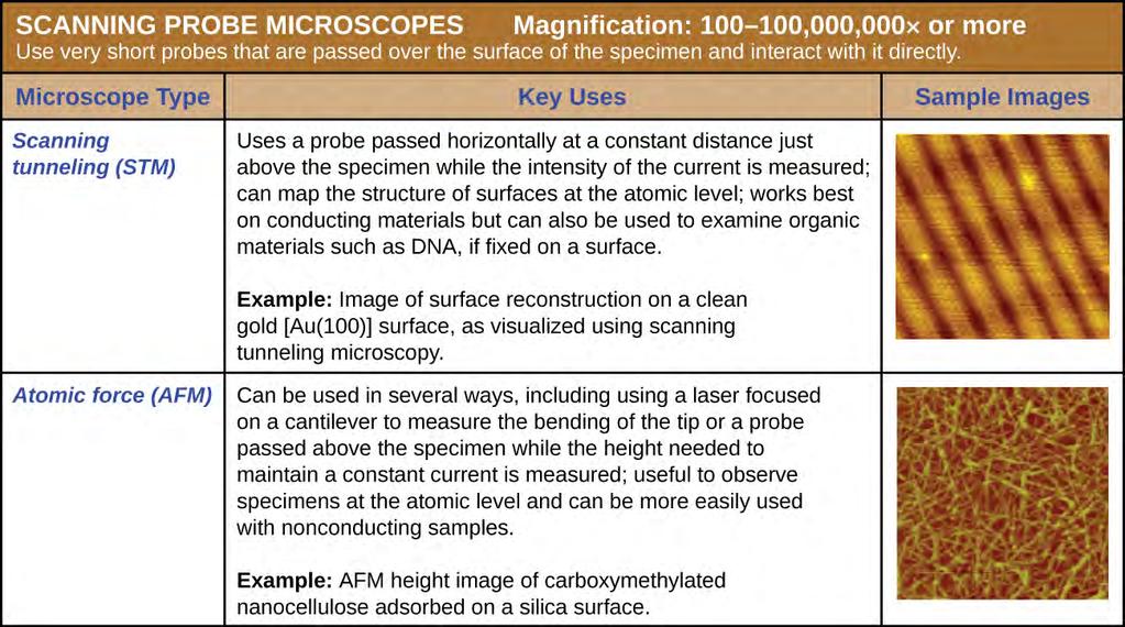 Microbiology; credit SEM : modification of work by American