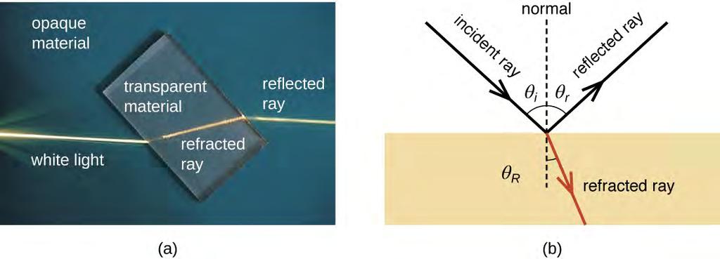 Figure 2.4 (a) Refraction occurs when light passes from one medium, such as air, to another, such as glass, changing the direction of the light rays.