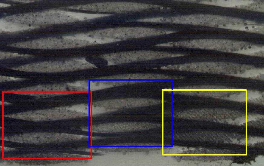 Fig. 4: Photomicrograph of a warp interlock fabric made of carbon fibres. The three rectangles represent three blocks exhibiting Interblock Crimp and Interblock Displacement.