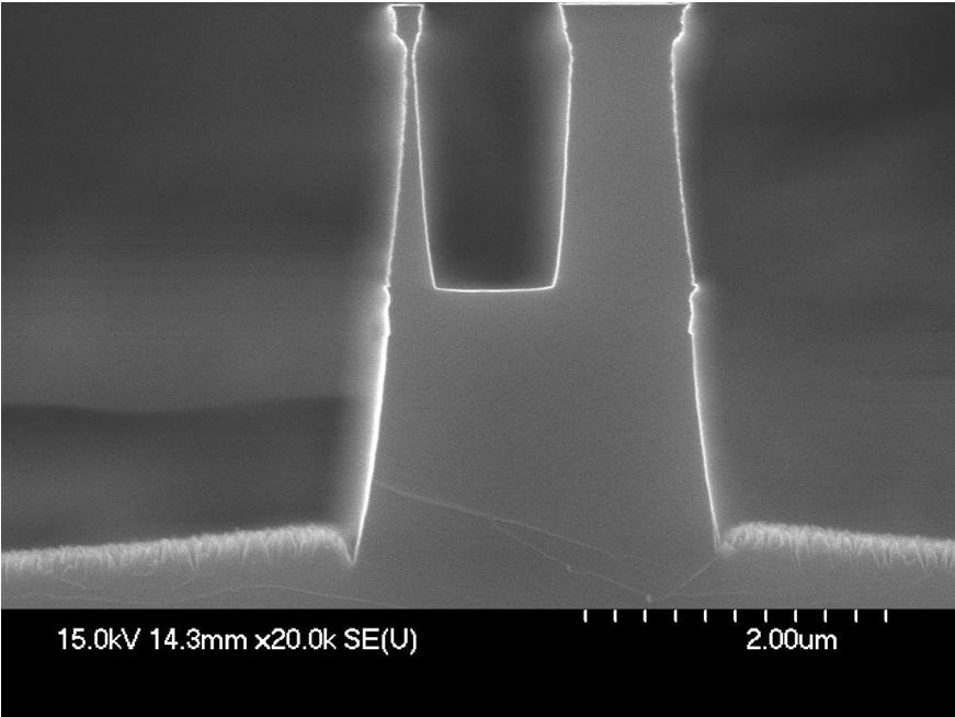 55 µm Single