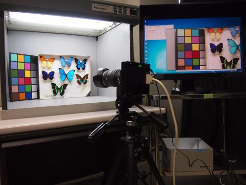 five-band multispectral video and display the srgb images at 30 fps without