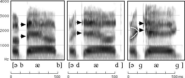 How to read spectrograms bab: closure of lips lowers all formants: so rapid increase in all formants at beginning of "bab dad: first formant increases, but F2 and F3 slight fall gag: