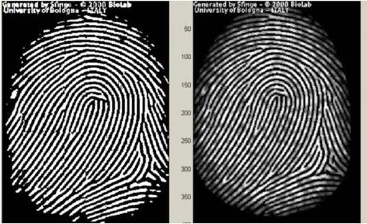 Estimate the block direction for each 16 16 block of the fingerprint image by calculating gradient values along x-direction (gx) and y-direction (gy) for each pixel of the block.