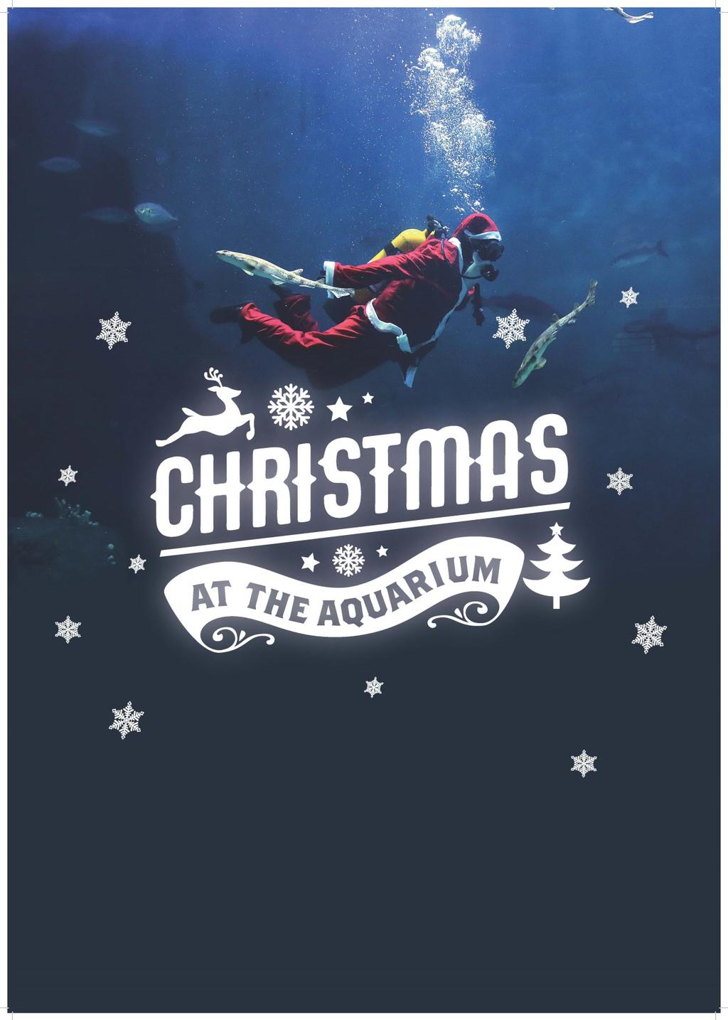CHRISTMAS ACTIVITY BOOKLET!