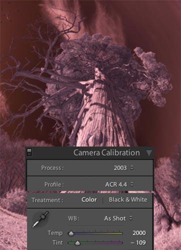 You can get the WB slider back to a controllable level in ACR by creating a custom camera profile. First you'll need to convert a single IR raw file to the Adobe DNG raw format.