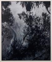 Goodyear Fund, 2011 Seeps: Reversed Eucalyptus, 2007/2010 Chromogenic color print,