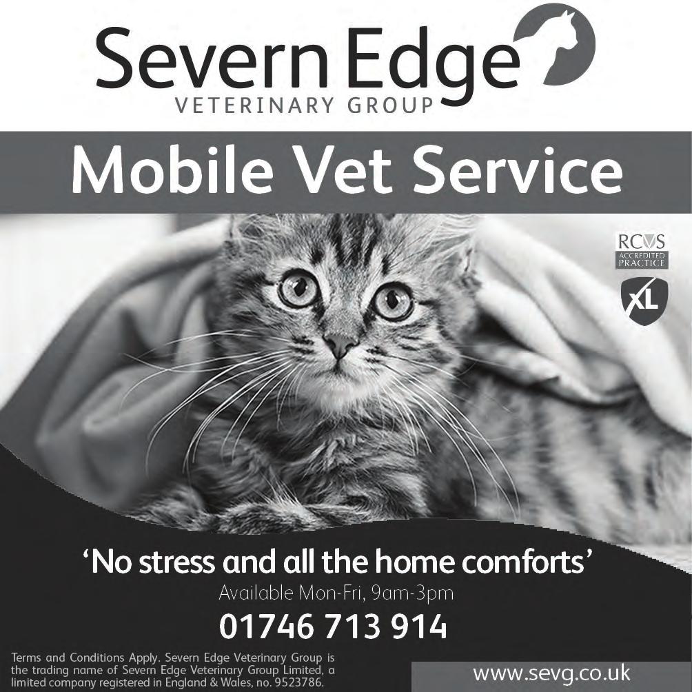 The Severn Edge Vets Pets Page