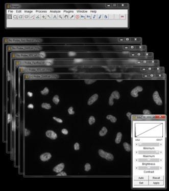 10 QuantiGene ViewRNA mirna Cell Assay Supplemental Reference Guide Procedure Using Image J Analysis Software To adjust the threshold intensities using Image J analysis software: Step Action 1 A.