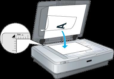 3. Steps to scan documents and photographs Step Action 1 Set up the scanner for use (see Steps to set up the scanner for use above) If you want a white background behind your images, ensure the