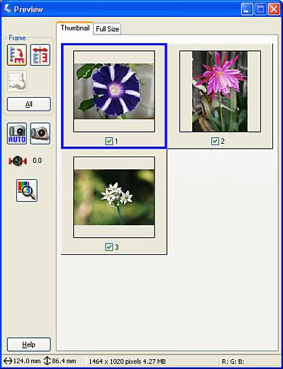 5 Check the orientation and cropping of the thumbnail images.