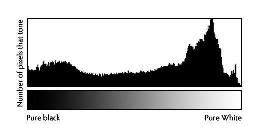 Histograms Each vertical line represents the