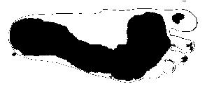 316 M. Mora and D. Sbarbaro Erosionado (a) Binarization (b) Erosion (c) Toe elimination (d) Smoothing (e) Dilation (f) Final edge Fig. 4. Improvements in the footprint segmentation Table 2.