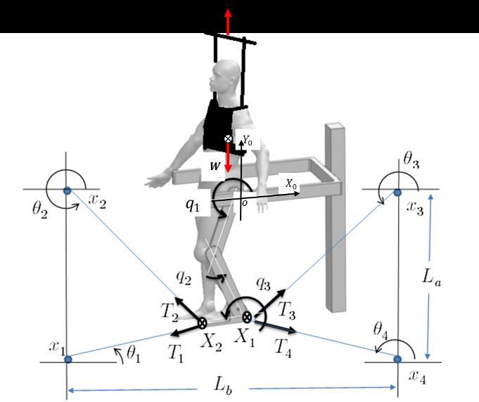 Dynamic analysis and control of a Hybrid serial/cable driven robot for lower-limb rehabilitation. 3 torques of the actuators. The geometric parameters of the system are defined in Fig. 1.