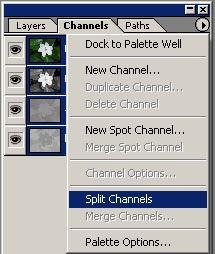 In your Layers palette, select the Channels tab. Click on the triangle to the right, and select Split Channels. Your image is now split into 3 channels.