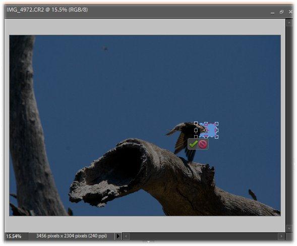 Generally, resizing via the crop tool will reduce the amount of information, and the resized image will be generated using the default Resampling method for the program in Photoshop Elements, it is a