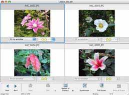 Chapter 4 Viewing Images Using the Viewer Window (2/4) Displaying Multiple Images You can display two to four images at once in the Viewer Window by using the [Number of