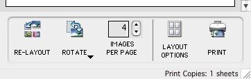 Reorganizing and rotating images, and specifying the number of images per page When [Custom layout printing] is selected in the [LAYOUT OPTIONS] dialog, you can use the following functions.