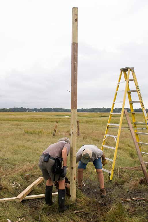 Installation Main Post 1. Using a pounder, drive the main post into the ground until it reaches the four foot mark you made on the post.