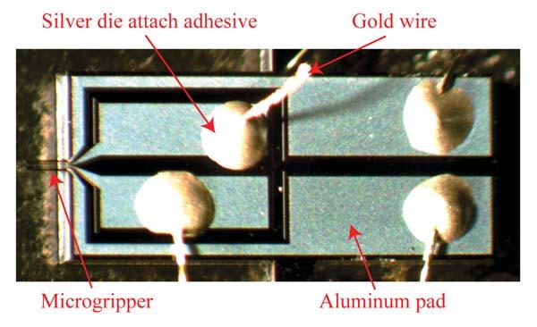 107 Figure 5.3: Gold wire bonds from multifunctional probe chip out to circuit. Figure 5.4 provides an overview to the probe s operational characteristics.