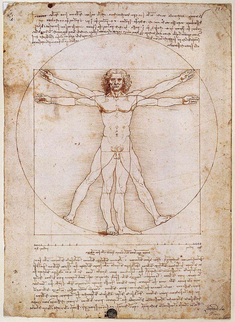 The Vitruvian Man by Leonardo da Vinci. Image in the public domain.