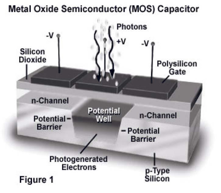 MOS (Metal Oxide Semiconductor) Photosensitive element Charge acquired depends on the