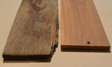 Defects-harvesting & drying Study wood carefully to