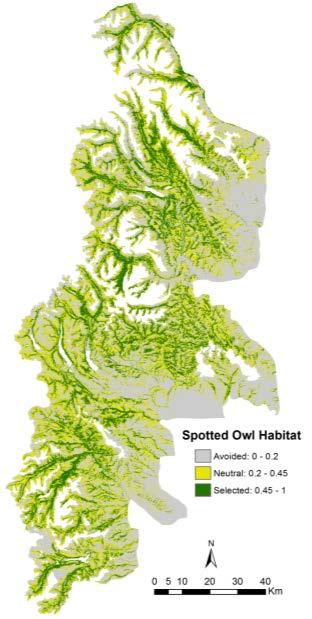 Spotted Barred Owl landscape-scale habitat selection and overlap Poor:
