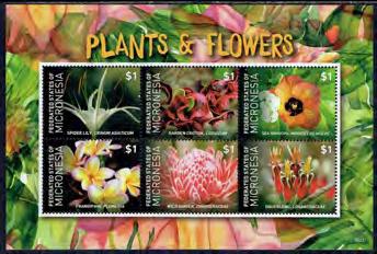 and Flowers Sheet of 50 Plants