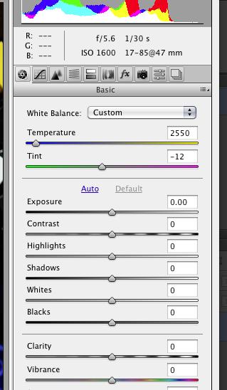 Using the 24 Swatch Colour Card with Adobe DNG Profiler 8 Enter your Temperature and Tint settings Under Basic, enter your Temperature and