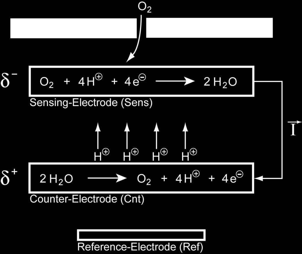 These migrate through the electrolyte towards the sensing electrode.