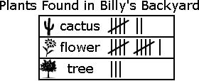 13) How many total plants are in Billy's backyard?