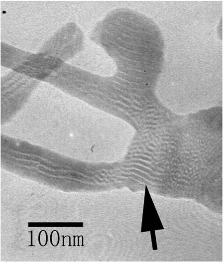 The morphology of the sample whose K 2 SO 4 nanowires substrate had been washed off by water was charactered by TEM. As shown in Fig.